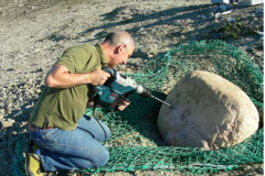 Hugo Bucher emballe et débite un bloc de calcaire stromatolitique très ancien pour le Musée.